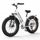 Elcykel isinwheel M60