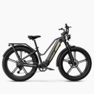 fiido-titan-cargo-elcykel-electric-bike-ebike.jpg
